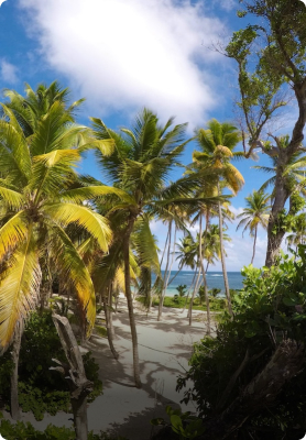 Boligbytte i Martinique